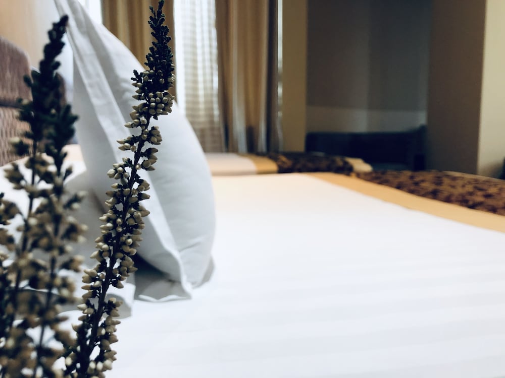 hotel kompleksi arifi