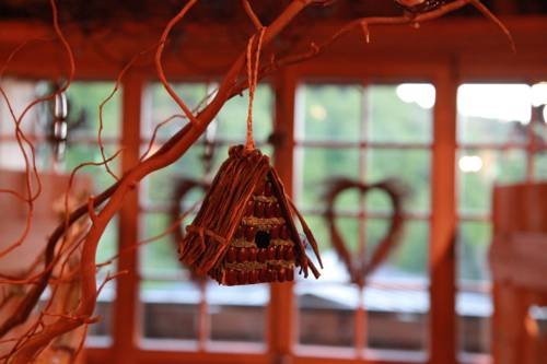 chalet hotel le collet