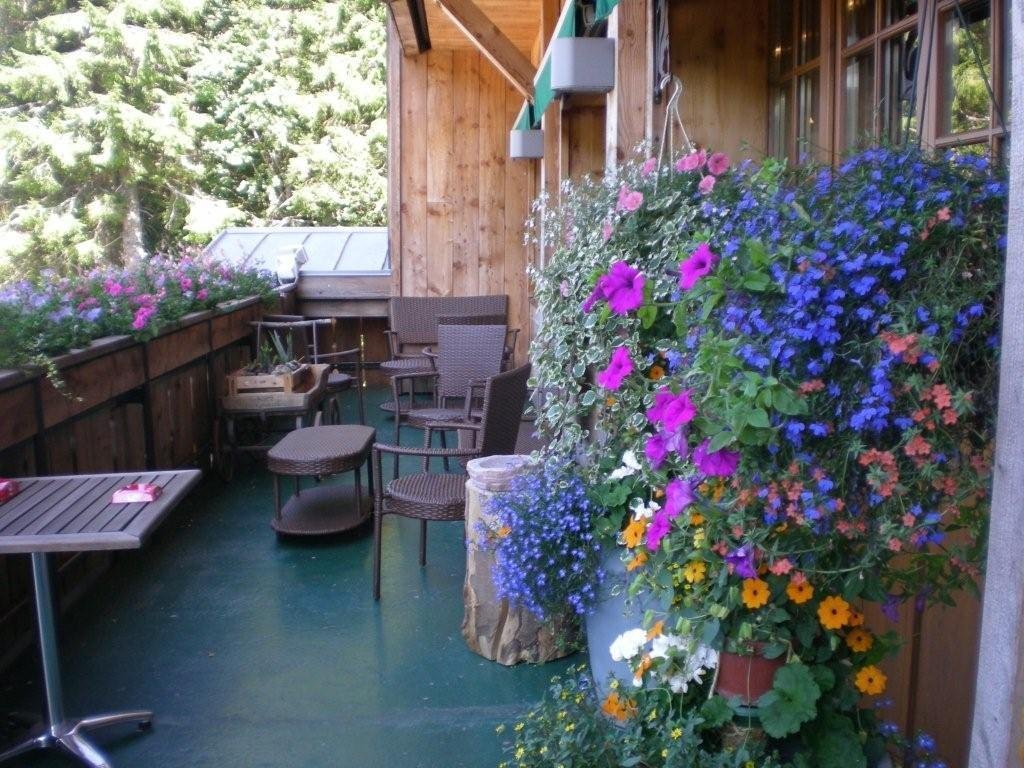chalet hotel le collet