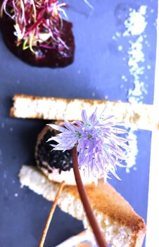 logis hotel restaurant aux trois roses