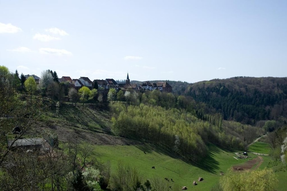 logis hotel restaurant aux trois roses