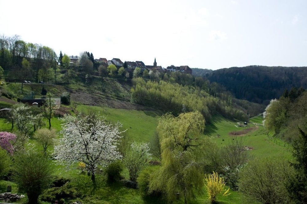logis hotel restaurant aux trois roses