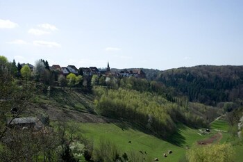 logis hotel restaurant aux trois roses