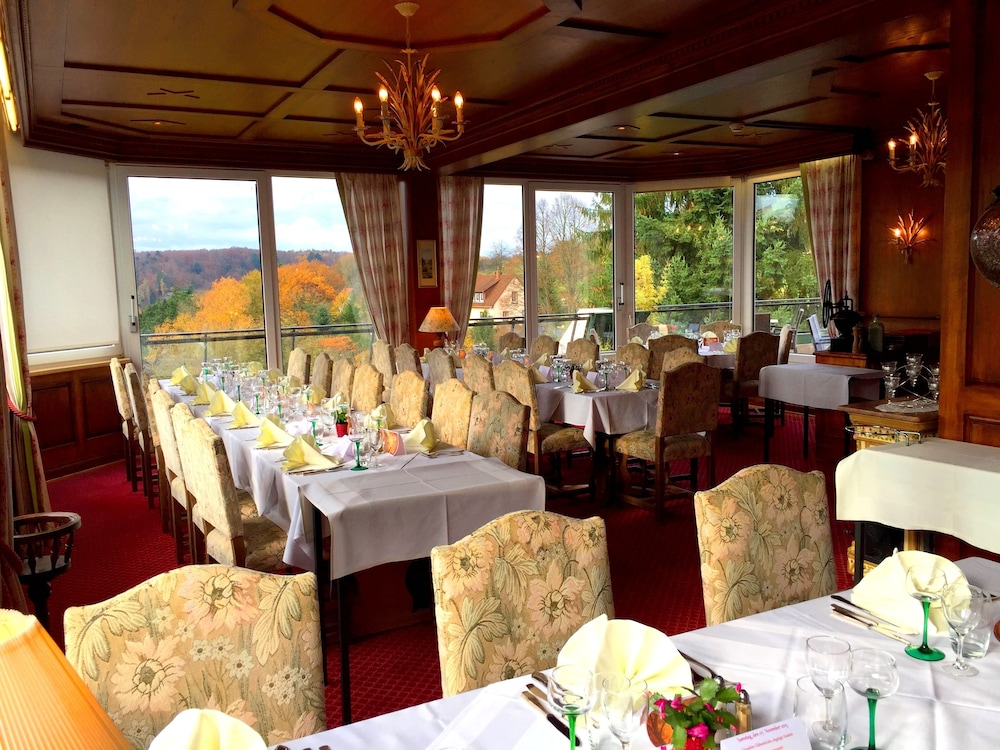 logis hotel restaurant aux trois roses