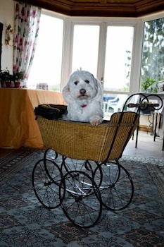 logis hotel restaurant aux trois roses