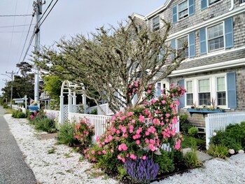 an english garden bed and breakfast