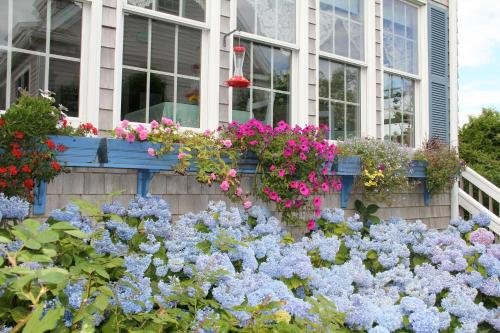 an english garden bed and breakfast