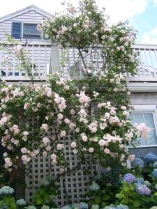 an english garden bed and breakfast