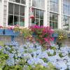 an english garden bed and breakfast