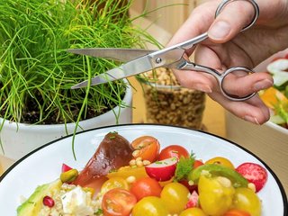 hotel mercure krynica zdroj resortandspa