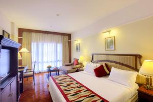 Radisson Hotel Kathmandu,P.O. Box 2269 Lazimpat, Lazimpat, Kathmandu, Nepal, 44601,5 star