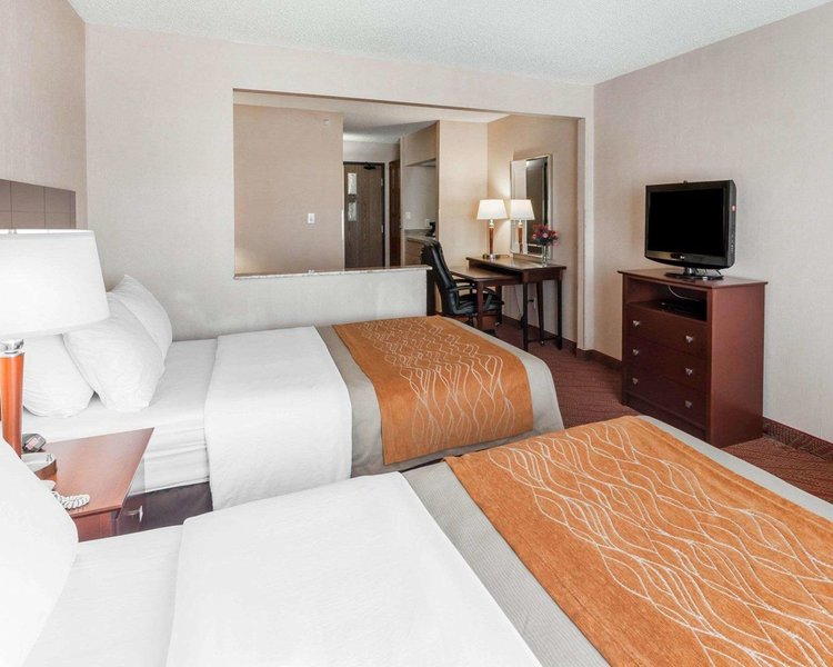 comfort inn kelso longview