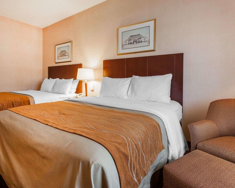 comfort inn kelso longview