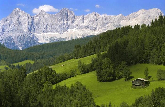 forstau