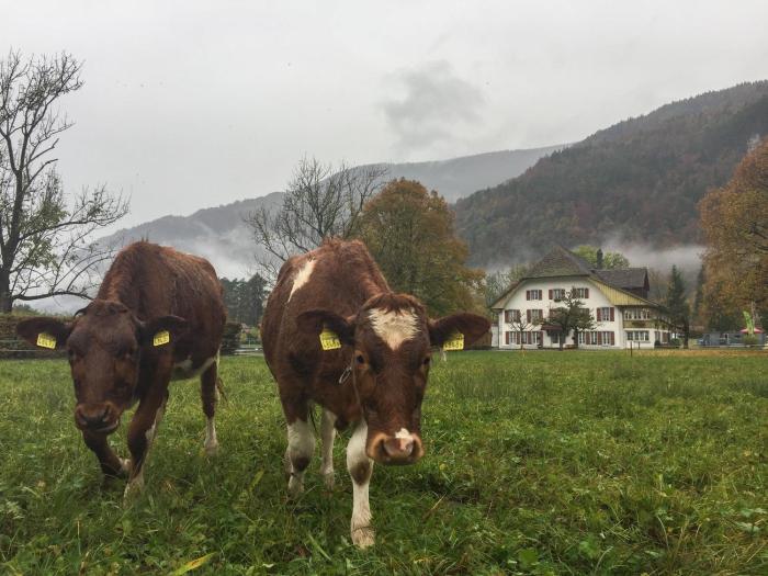 interlaken