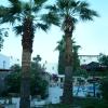 bodrum