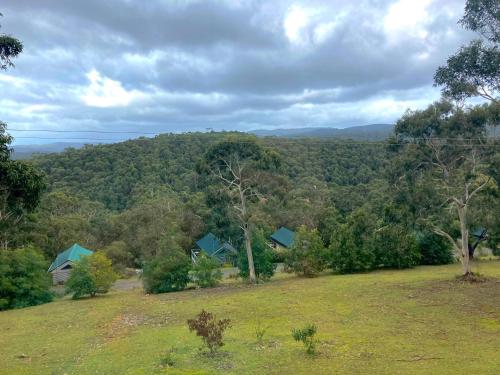 lorne bush house cottages and eco retreats