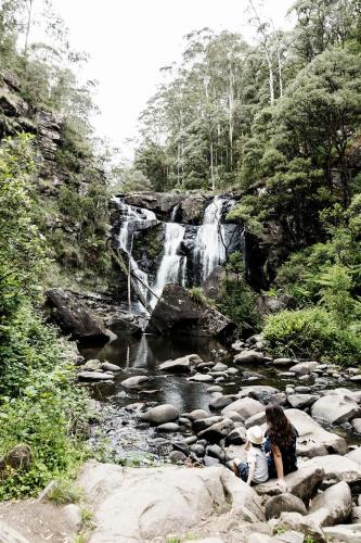 lorne bush house cottages and eco retreats