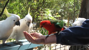 lorne bush house cottages and eco retreats