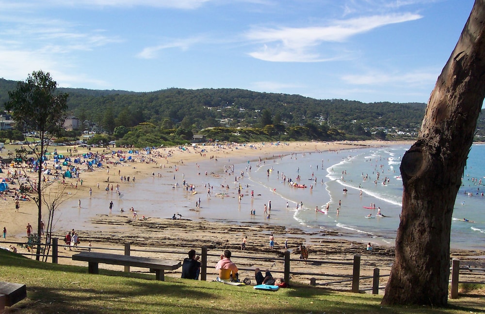 lorne bush house cottages and eco retreats