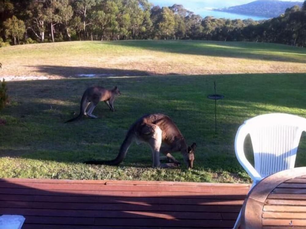 lorne bush house cottages and eco retreats