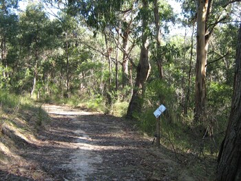 lorne bush house cottages and eco retreats