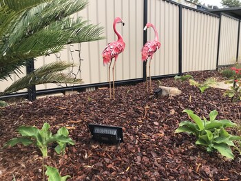 south toowoomba