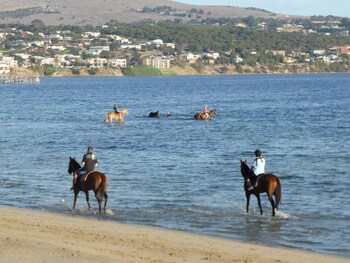 Best Western Port Lincoln,Australia>>Port Lincoln,4 star