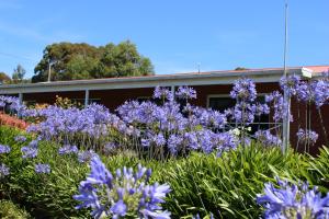 the kermandie hotel