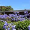 the kermandie hotel