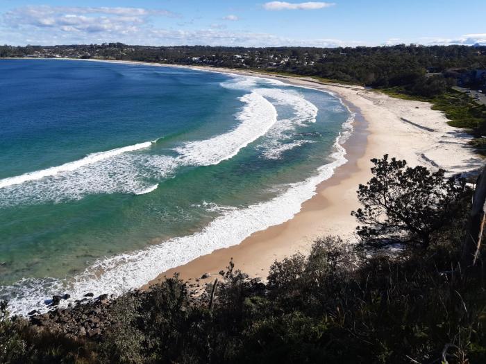 dolphins of mollymook motel