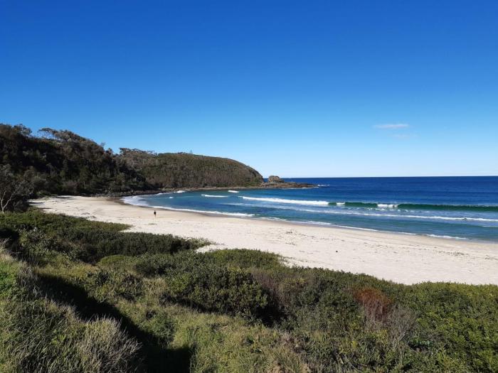 dolphins of mollymook motel