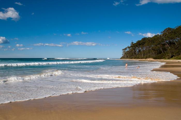 dolphins of mollymook motel