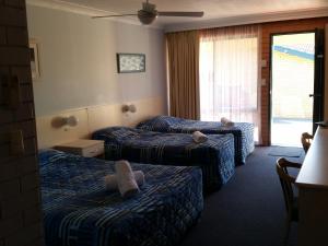 mollymook