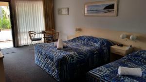 dolphins of mollymook motel