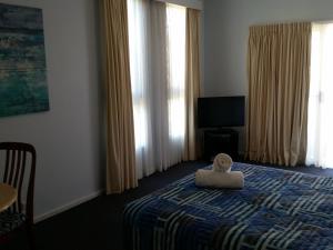 dolphins of mollymook motel