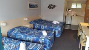 dolphins of mollymook motel