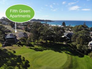 dolphins of mollymook motel