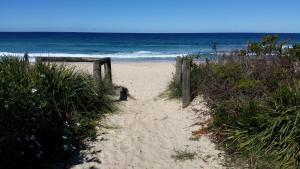 dolphins of mollymook motel