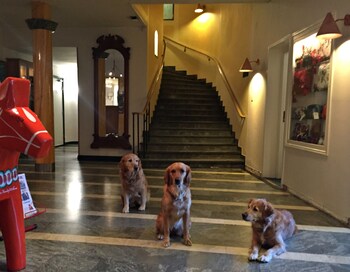 mora hotell and spa