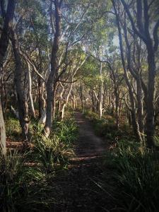 huskisson bayside resort