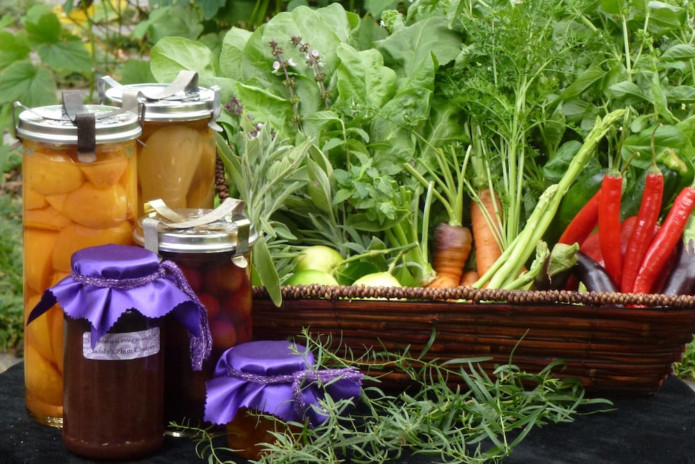 the retreat at froog moore park