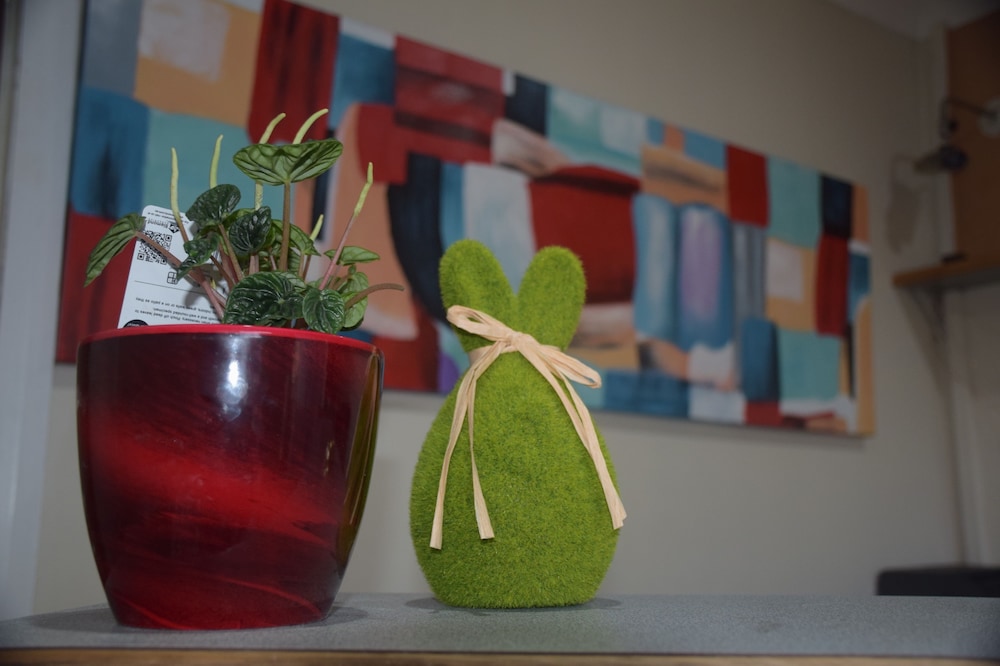 tamworth central motel