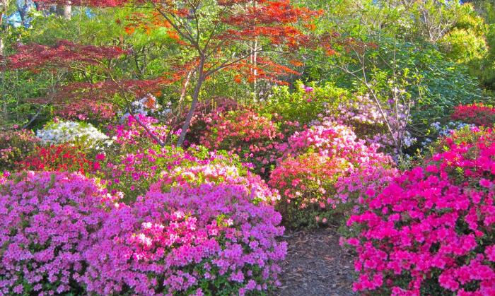 high mountains motor inn