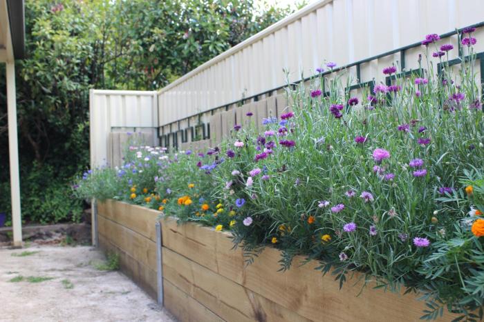 high mountains motor inn