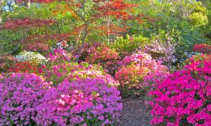 high mountains motor inn