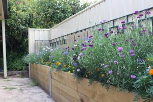 high mountains motor inn