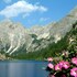 pension forsthof