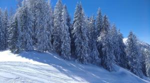 pension forsthof