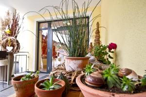 hotel zirngast